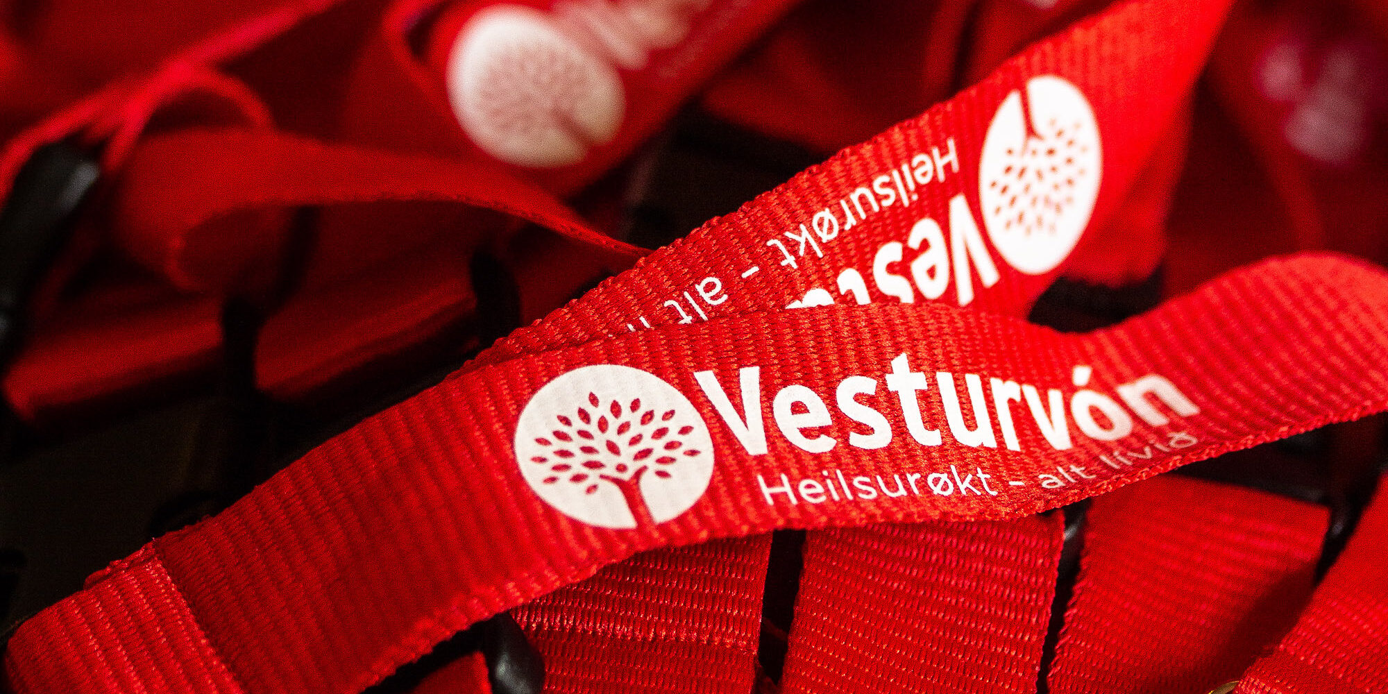 05_MG_1524