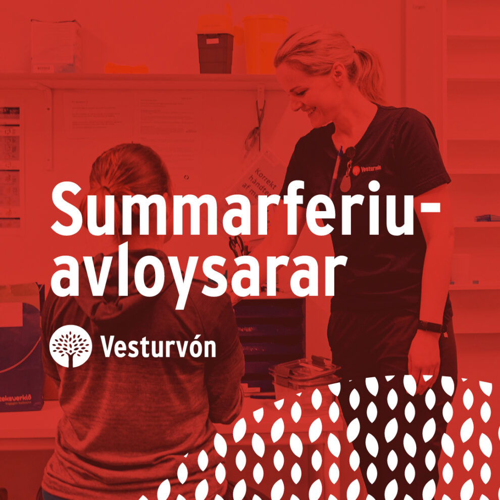 1322642340_Summarferiuavloysarar_online